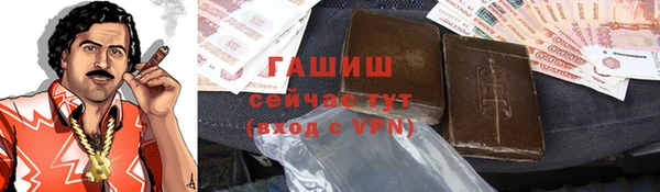 мдпв Гусев