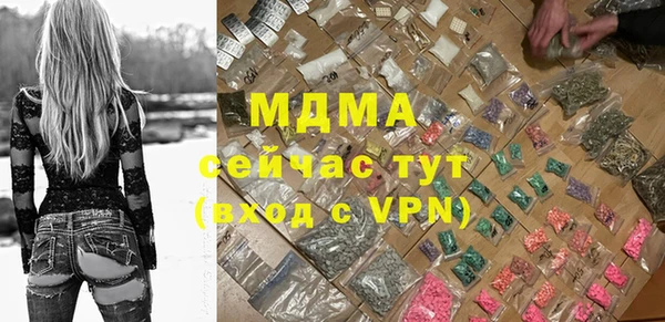 мдпв Гусев