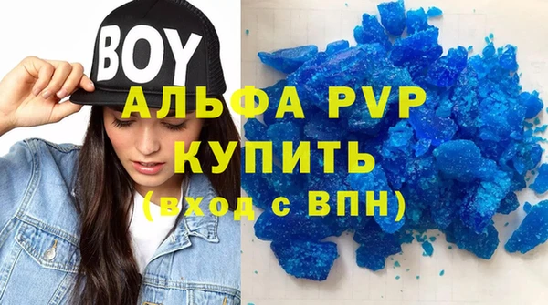 мдпв Гусев