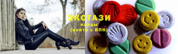 мдпв Гусев