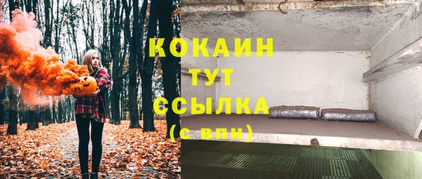mdpv Гусь-Хрустальный