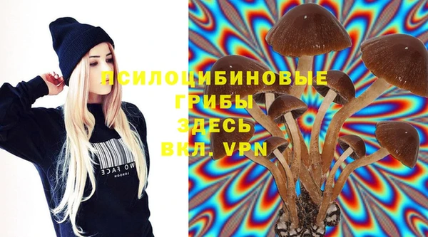 не бодяженный Гусиноозёрск