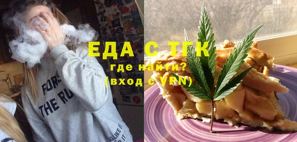 мдпв Гусев