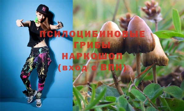 мдпв Гусев