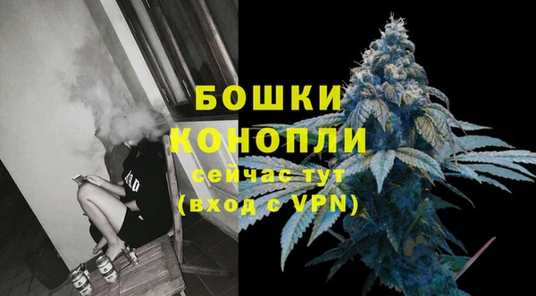 spice Горняк